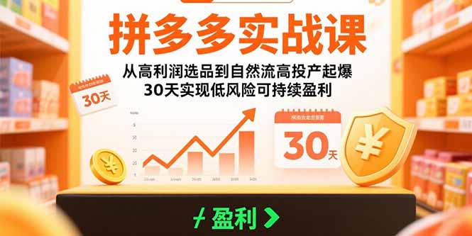 拼多多实战课：从高利润选品到自然流高投产起爆 30天实现低风险可持续盈利-摇钱述