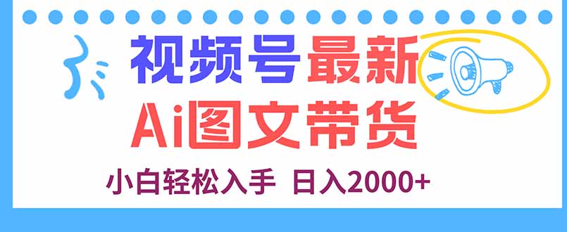 视频号最新AI图文带货，每天几分钟，小白轻松入手，日入2000+-摇钱述