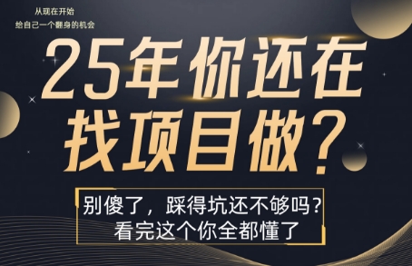 25年,你还在疯狂的找项目吗?别傻了,看完这个你都懂了【揭秘】