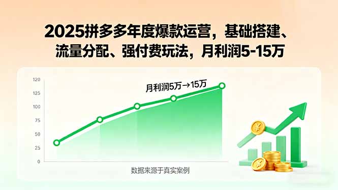 2025拼多多年度爆款运营，基础搭建、流量分配、强付费玩法，月利润5-15万-摇钱述