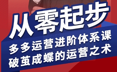 拼多多运营进阶系统课，从零起步，多多运营进阶体系课，破茧成蝶的运营之术(更新9月)-摇钱述
