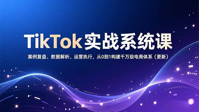 TikTok实战系统课，案例复盘、数据解析、运营执行，从0到1构建千万级电商体系(更新-摇钱述