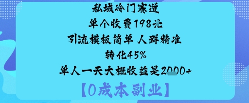 私域冷门赛道:单个收费198米引流模板简单人群精准转化45%单人一天大概收益是1k+-摇钱述
