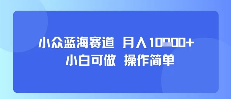 小众蓝海赛道,小白可做,操作简单,每天30分钟,月入1W+-摇钱述