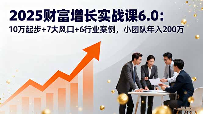 2025财富增长实战课6.0：10万起步+7大风口+6行业案例，小团队年入200万-摇钱述