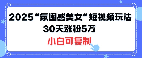 不露脸也能火！2025“氛围感美女”短视频玩法，30天涨粉5W小白可复制-摇钱述