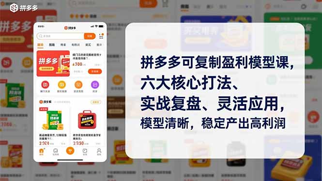 拼多多可复制盈利模型课，六大核心打法、实战复盘、灵活应用，模型清晰，稳定产出高利润-摇钱述