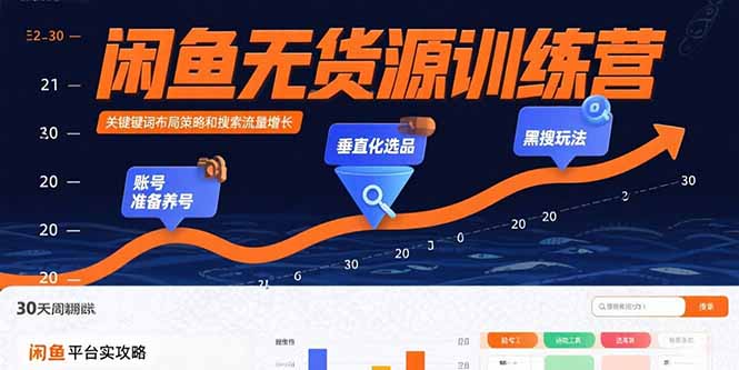 闲鱼无货源训练营：账号准备养号/垂直化选品/黑搜玩法，0基础30天盈利指南-摇钱述