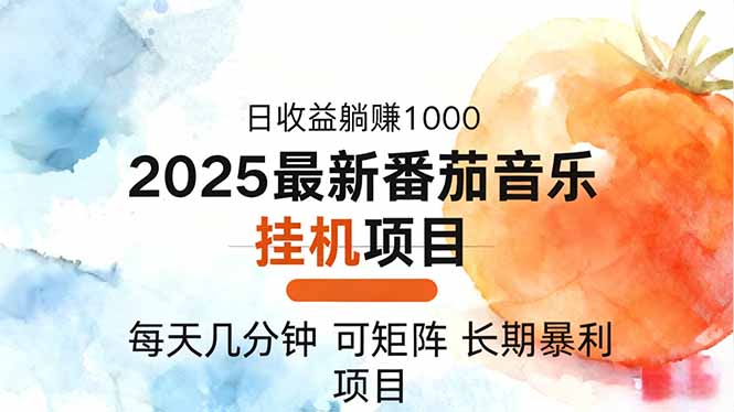 2025年最新番茄音乐人挂机项目，每天几分钟，月入1000＋，可矩阵，一台…-摇钱述