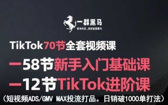 TikTok全套视频课，新手入门+进阶课，短视频ADS-GMV MAX投流打品，日销破1000单打法-摇钱述