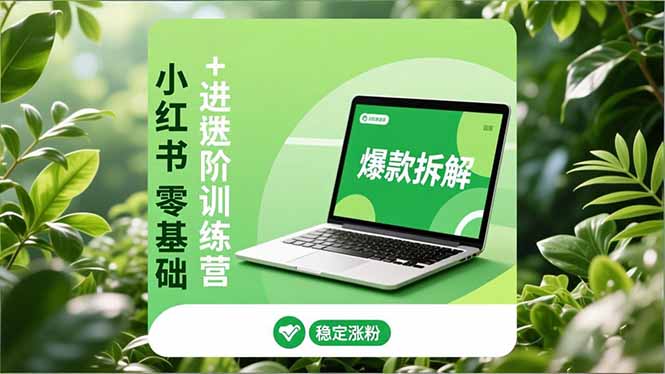 小红书零基础+高阶训练营：安全养号、爆款拆解、长效运营，实现稳定涨粉与变现-摇钱述