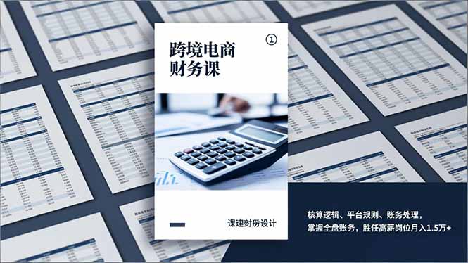 跨境电商财务课，核算逻辑、平台规则、账务处理，掌握全盘账务，胜任高薪岗位月入1.5万+-摇钱述