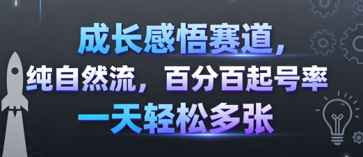 成长感悟赛道，纯自然流，百分百起号率 一天轻松多张-摇钱述