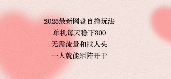 2025最新网盘自撸玩法，单机每天稳下3张，无需流量和拉人头，一个人就可轻松矩阵，全网独一份【揭秘】-摇钱述