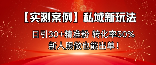 【实测案例】私域新玩法，日引30+精准粉，转化率50%，新人照做也能出单！-摇钱述