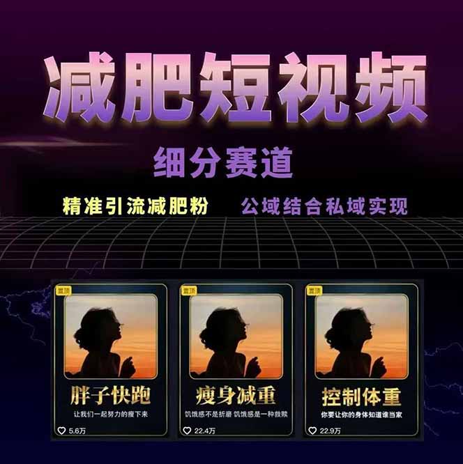 图片[1]-减肥短视频赛道运营课：素材准备-视频制作-引流变现全流程 (附素材-摇钱述
